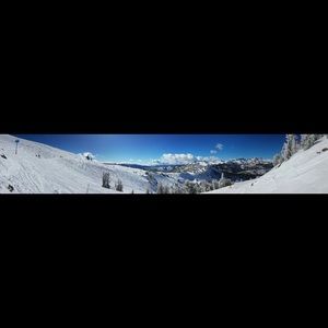 Meet your Posher, Tyler